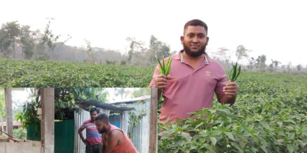 মিরসরাইয়ে ‎সমন্বিত কৃষি খামার করে সাবলম্বী উদ্যোক্তা আফতাব